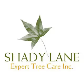 Shadylanetreecare